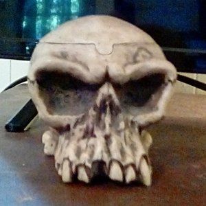Mean Hungry Skull/Removable Top Skull-Cover/Day of  Dead/Halloween